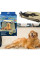 Чехол надежный на кресло автомобиля для переозки животных Pet Zoom