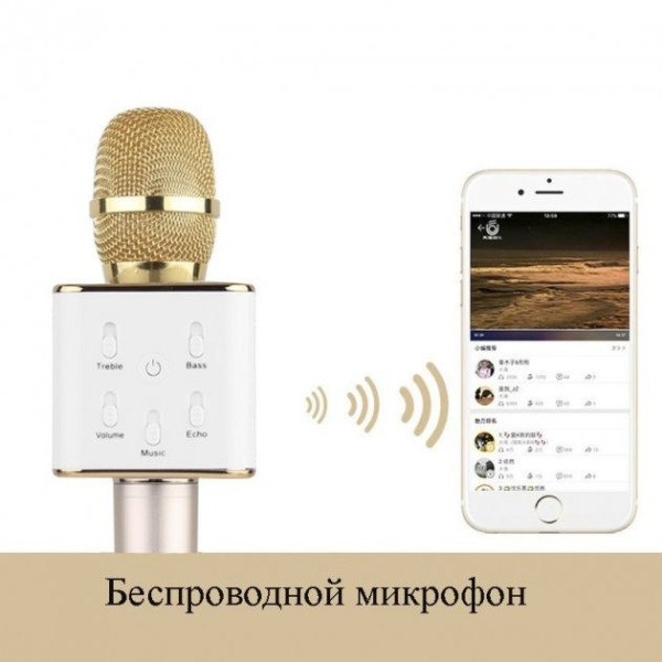 Беспроводной караоке микрофон WSTER WS-858 Bluetooth USB AUX FM