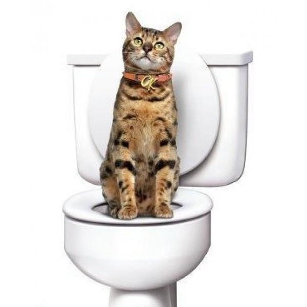 Набор для приучения кошек к унитазу CitiKitty Cat Toilet Training Kit