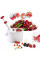 Машинка для удаления косточек из вишни, черешни, маслин и оливок Helfer Hoff Cherry