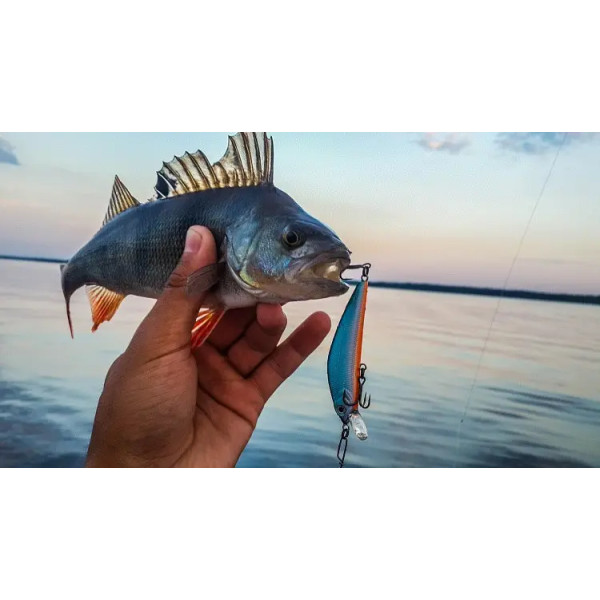 Twitching Lure – приманка для ловли хищных рыб блесна