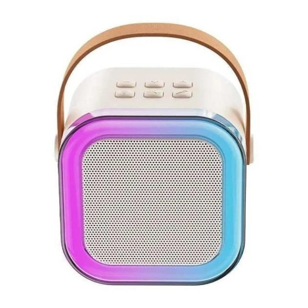 Портативная Bluetooth колонка с караоке и микрофонами Monty K12-2 / Беспроводная акустика с FM-радио, USB