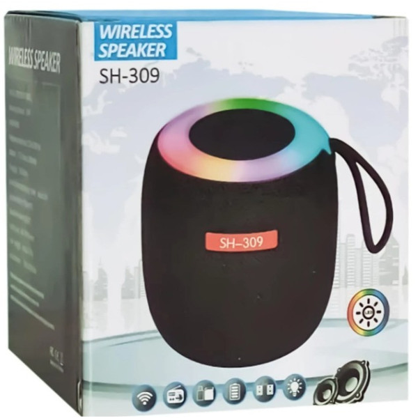 Портативная Bluetooth колонка SH 309 BT 100 Вт с мощным звуком и басами