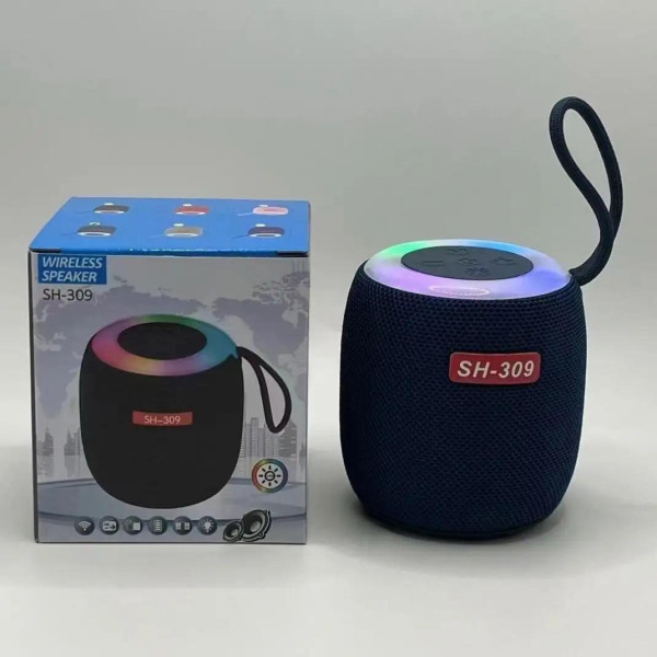 Портативная Bluetooth колонка SH 309 BT 100 Вт с мощным звуком и басами