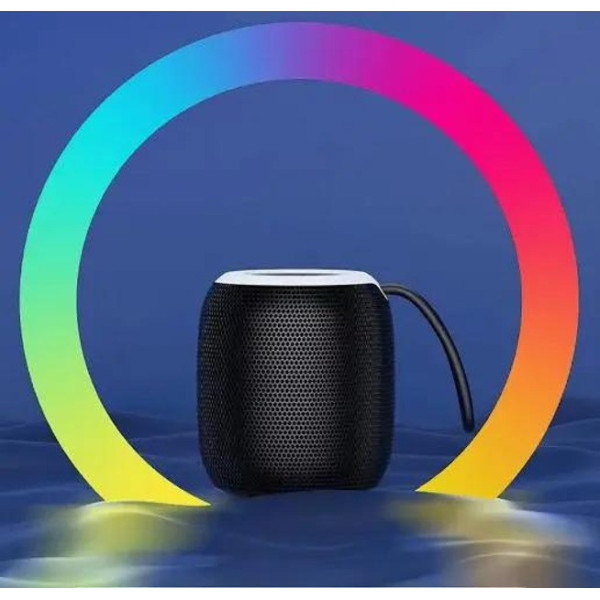 Портативная Bluetooth колонка SH 309 BT 100 Вт с мощным звуком и басами
