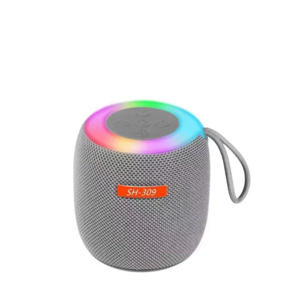 Портативная Bluetooth колонка SH 309 BT 100 Вт с мощным звуком и басами