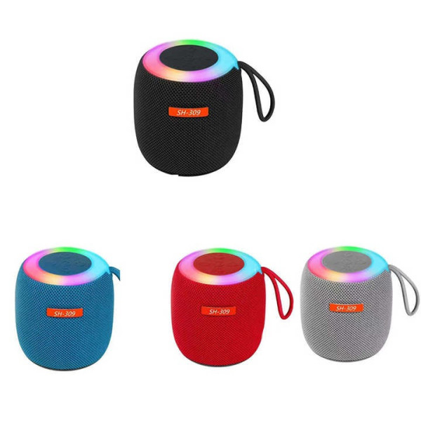 Портативная Bluetooth колонка SH 309 BT 100 Вт с мощным звуком и басами