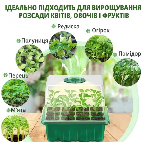 Универсальный лоток для проращивания растений, мини теплица для рассады с вентиляцией на 12 ячеек, парник