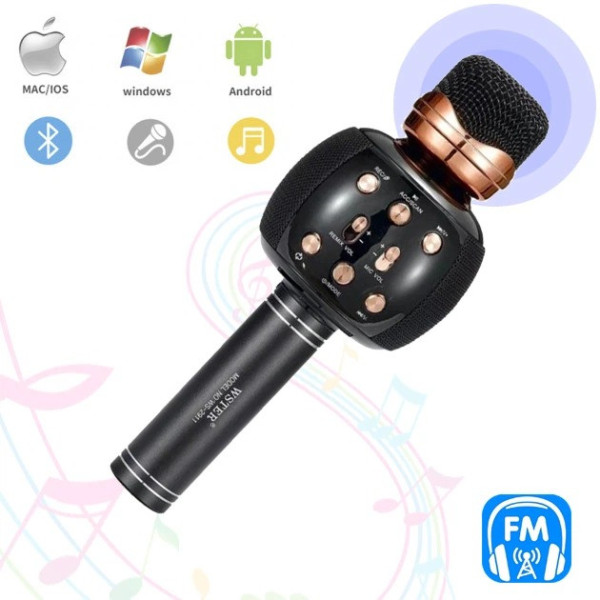 Беспроводной караоке-микрофон Wster WS-2911 с колонкой и изменением голоса Bluetooth микрофон для караоке