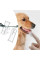Набор для груминга животных Pet Grooming 8 в 1, комплект для ухода за собаками и котами с щетками, когтерезом и расческами