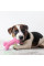 Набор жевательных игрушек для собак 6 в 1 с веревками Pet Set, интерактивные игрушки для собак, набор для жевания и перетаскивания